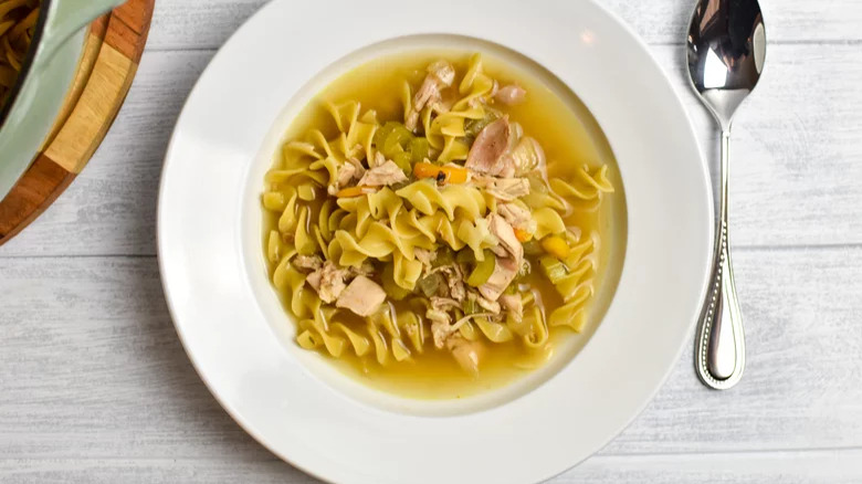 Bowl of chicken noodle soup
