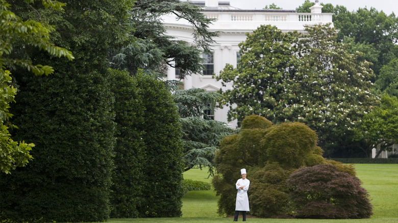 A chef stands on the lawn in the White House grounds