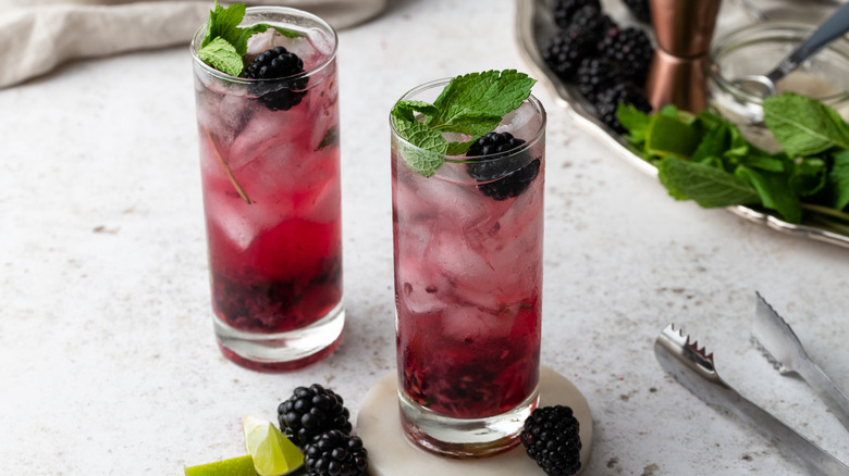 hibiscus and blackberry mojito  