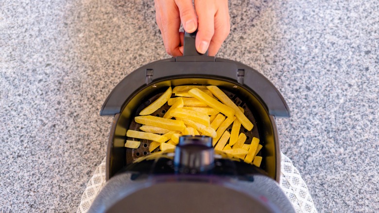 fries in air fryer