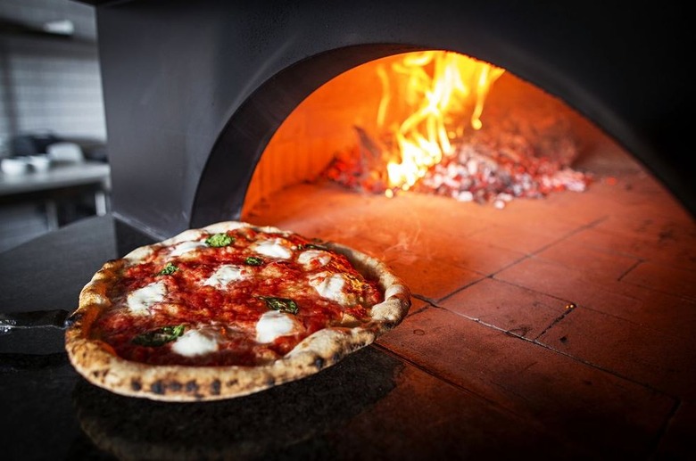 Best Pizza in Every State