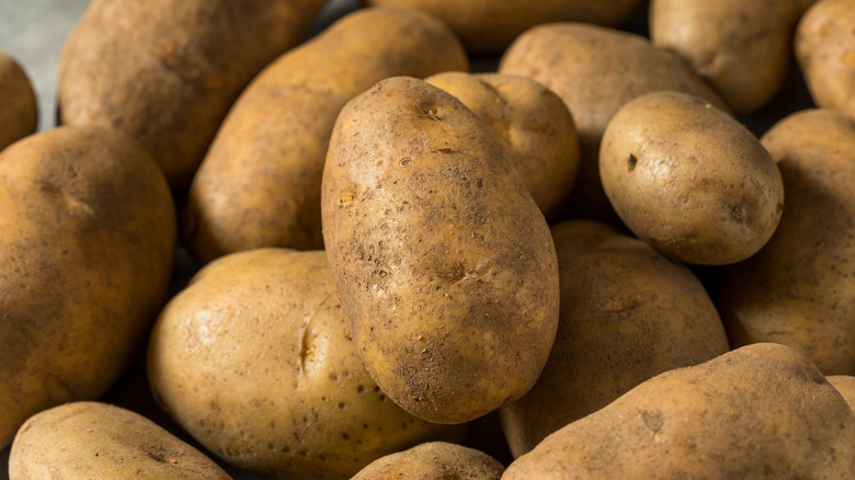A pile of Idaho Russet potatoes